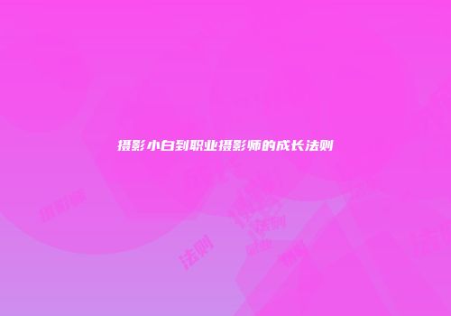 摄影小白到职业摄影师的成长法则