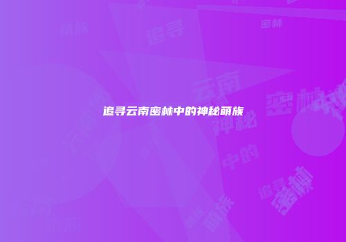 追寻云南密林中的神秘萌族