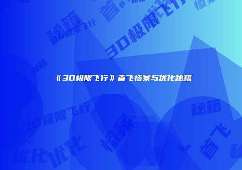 《3D极限飞行》首飞惨案与优化秘籍