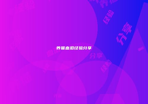 养猫血泪经验分享