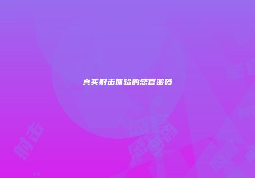 真实射击体验的感官密码