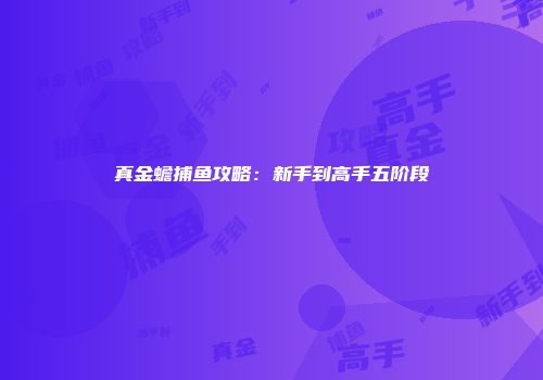 真金蟾捕鱼攻略：新手到高手五阶段