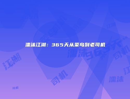 濡沫江湖：365天从菜鸟到老司机