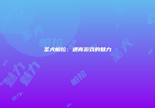 圣犬帕拉：通宵游戏的魅力
