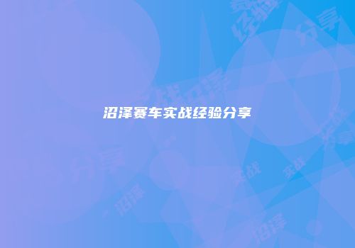 沼泽赛车实战经验分享