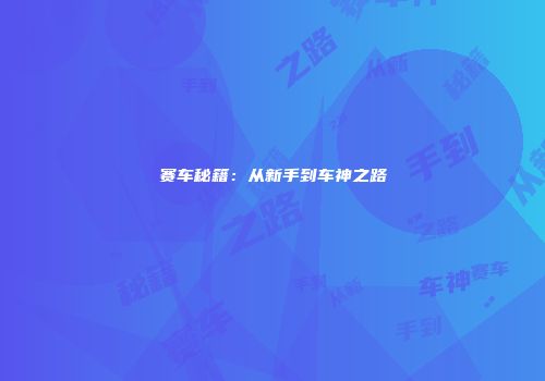 赛车秘籍：从新手到车神之路