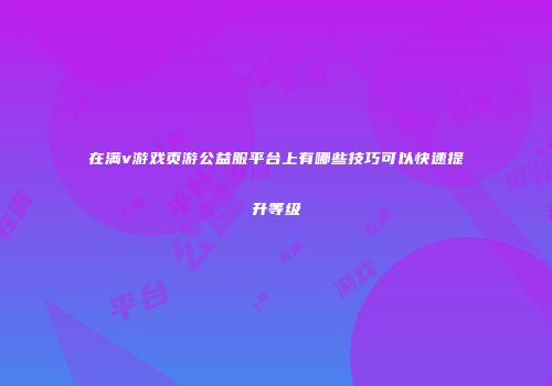 在满v游戏页游公益服平台上有哪些技巧可以快速提升等级