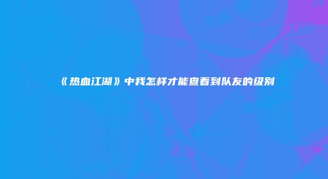 《热血江湖》中我怎样才能查看到队友的级别