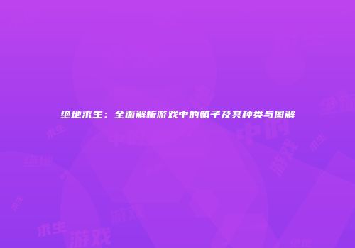 绝地求生：全面解析游戏中的箱子及其种类与图解