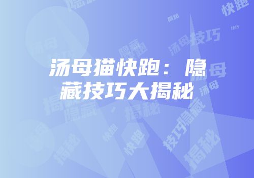 汤母猫快跑：隐藏技巧大揭秘