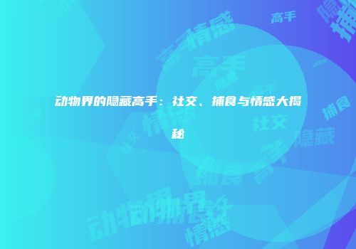动物界的隐藏高手：社交、捕食与情感大揭秘