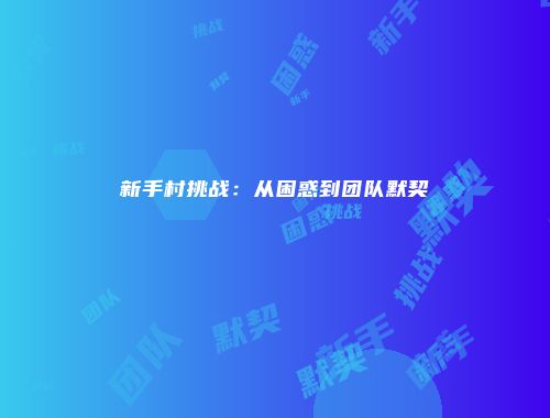 新手村挑战：从困惑到团队默契