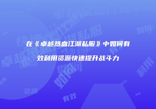 在《卓越热血江湖私服》中如何有效利用资源快速提升战斗力