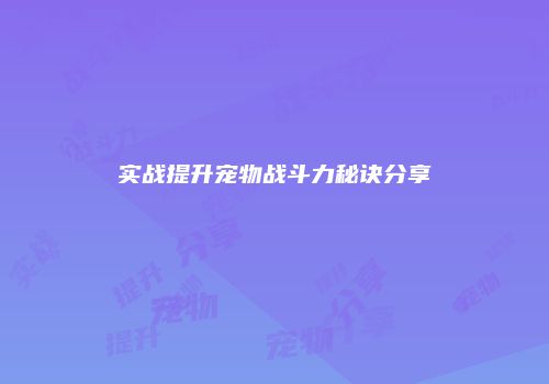 实战提升宠物战斗力秘诀分享