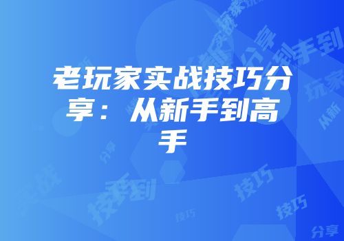 老玩家实战技巧分享：从新手到高手