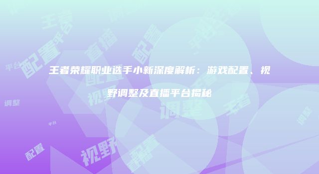 王者荣耀职业选手小新深度解析：游戏配置、视野调整及直播平台揭秘