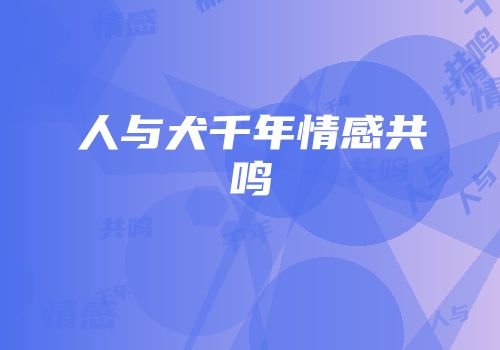 人与犬千年情感共鸣