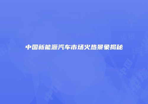 中国新能源汽车市场火热景象揭秘