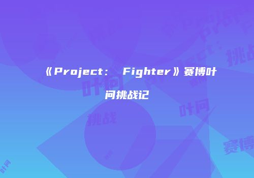 《Project： Fighter》赛博叶问挑战记