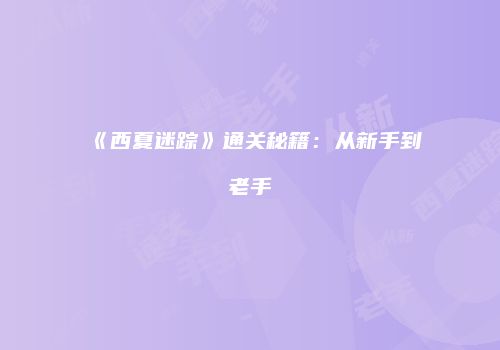 《西夏迷踪》通关秘籍：从新手到老手