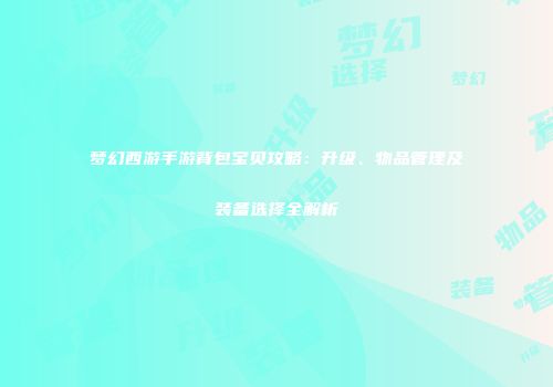 梦幻西游手游背包宝贝攻略：升级、物品管理及装备选择全解析
