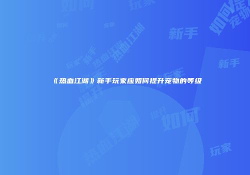 《热血江湖》新手玩家应如何提升宠物的等级
