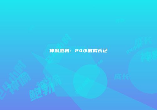 神偷鲍勃：24小时成长记