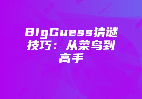 BigGuess猜谜技巧：从菜鸟到高手