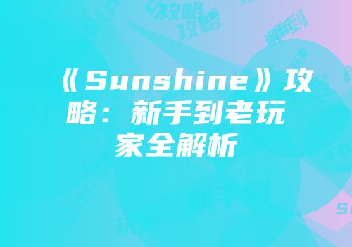 《Sunshine》攻略：新手到老玩家全解析