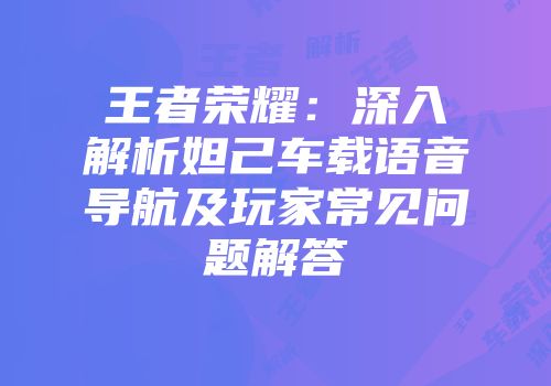 王者荣耀：深入解析妲己车载语音导航及玩家常见问题解答