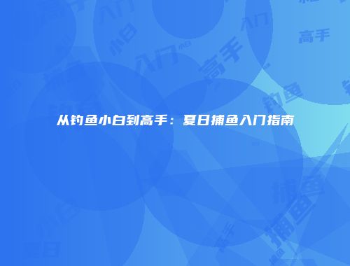 从钓鱼小白到高手：夏日捕鱼入门指南