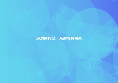 游戏成长记：从菜鸟到领队