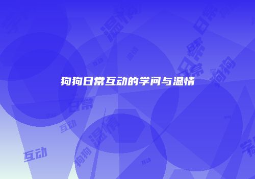 狗狗日常互动的学问与温情