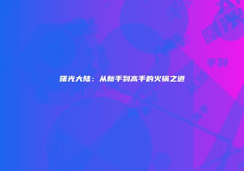 曙光大陆：从新手到高手的火锅之道