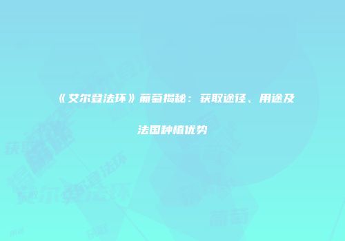 《艾尔登法环》葡萄揭秘：获取途径、用途及法国种植优势