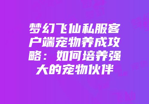 梦幻飞仙私服客户端宠物养成攻略:如何培养强大的宠物伙伴