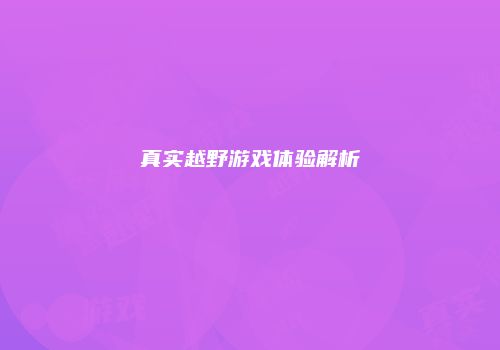真实越野游戏体验解析
