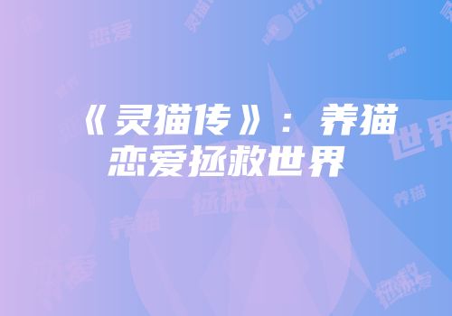 《灵猫传》：养猫恋爱拯救世界
