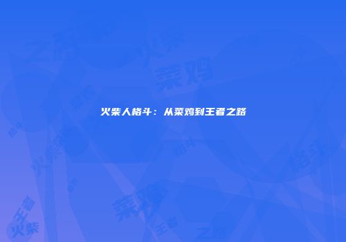 火柴人格斗：从菜鸡到王者之路