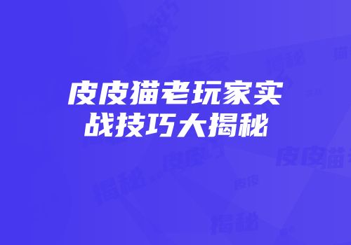 皮皮猫老玩家实战技巧大揭秘