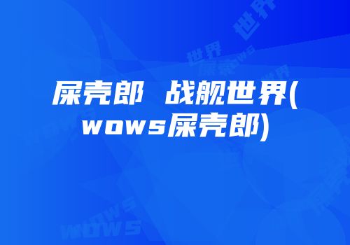 屎壳郎 战舰世界(wows屎壳郎)