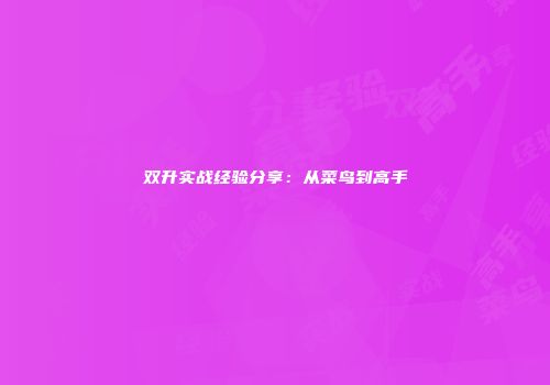 双升实战经验分享：从菜鸟到高手