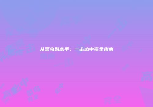 从菜鸟到高手：一击必中完全指南