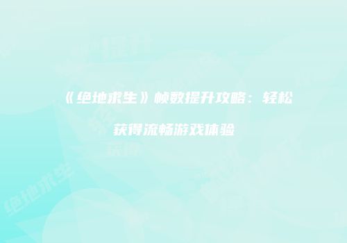 《绝地求生》帧数提升攻略：轻松获得流畅游戏体验