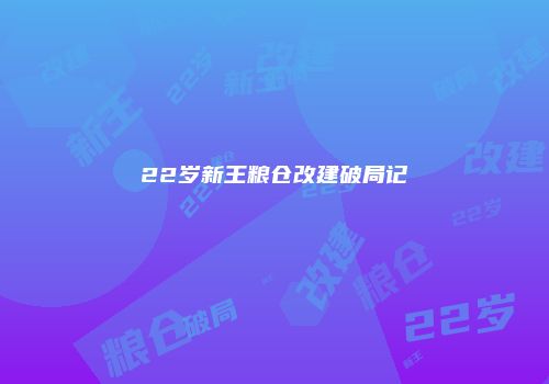 22岁新王粮仓改建破局记
