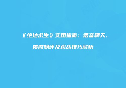 《绝地求生》实用指南：语音聊天、皮肤测评及观战技巧解析