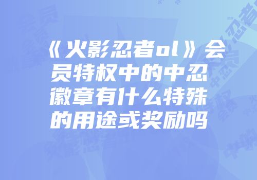 《火影忍者ol》会员特权中的中忍徽章有什么特殊的用途或奖励吗