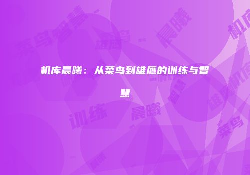 机库晨曦：从菜鸟到雄鹰的训练与智慧