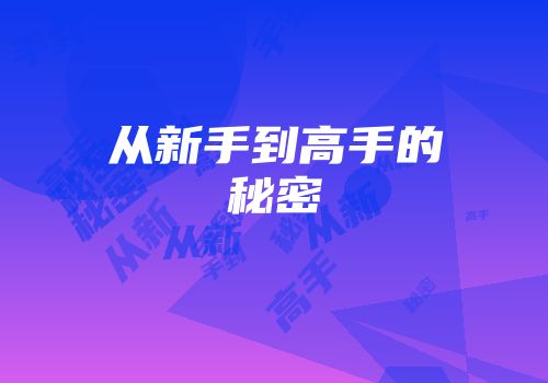 从新手到高手的秘密