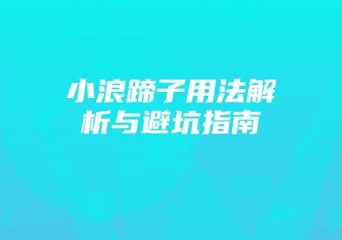 小浪蹄子用法解析与避坑指南